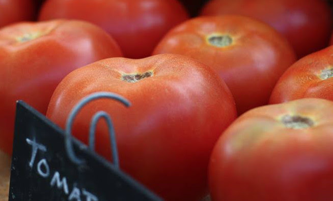 tomatoes