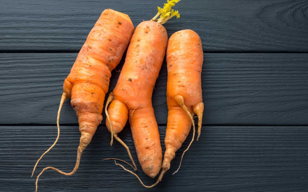 Juicing and Seconds Bags: Carrots, Sweet Potatoes